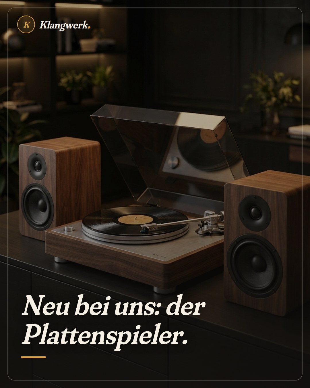 Fertiger Produkt-Beitrag für ein HiFi-Studio